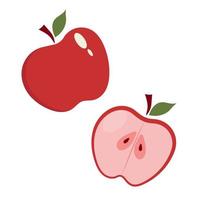 Red juicy ripe apple, whole and in section. vector