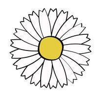 hand drawing flowers element set 01 vector