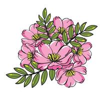 mano dibujo flores elemento conjunto 01 vector