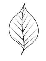 Simple Leaf Vector Illustration EPS10