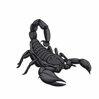 scorpion isolated on white background vector