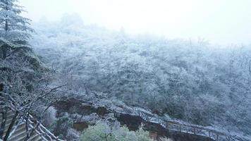 el hermosa congelado montañas ver cubierto por el blanco nieve y hielo en invierno foto