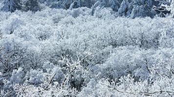 el hermosa congelado montañas ver cubierto por el blanco nieve y hielo en invierno foto