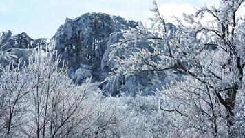 el hermosa congelado montañas ver cubierto por el blanco nieve y hielo en invierno foto