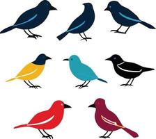 Bird vector silhouettes Art work. This is an Editable vector file