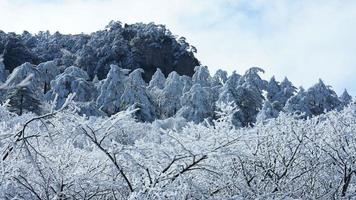 el hermosa congelado montañas ver cubierto por el blanco nieve y hielo en invierno foto