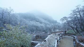 The beautiful frozen mountains view coverd by the white snow and ice in winter photo