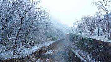 el hermosa congelado montañas ver cubierto por el blanco nieve y hielo en invierno foto