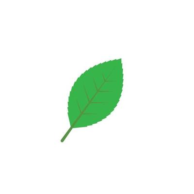 green leaf ecology nature element vector icon of go green