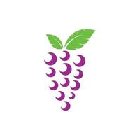 Grape fruits with leaf icon vector illustrtion