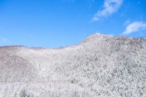 polvo nieve montaña en sapporo, Hokkaido Japón foto