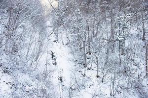 polvo nieve montaña en sapporo, Hokkaido Japón foto