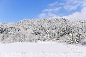 polvo nieve montaña en sapporo, Hokkaido Japón foto