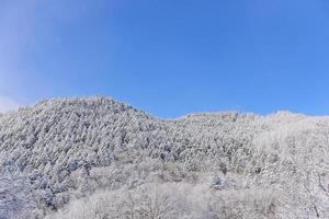 powder snow mountain in Sapporo, Hokkaido Japan photo