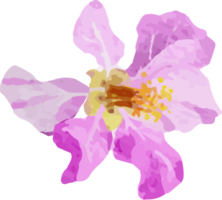 acuarela púrpura tailandés reinas flor ramo de flores guirnalda marco png