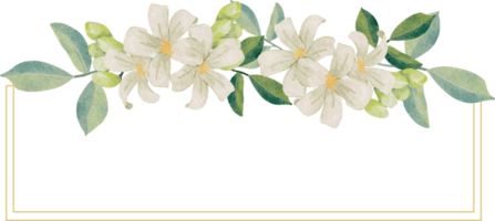 acuarela blanco murraya naranja jazmín flor ramo de flores guirnalda Insignia oro marco
