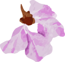 acuarela púrpura tailandés reinas flor ramo de flores guirnalda marco png