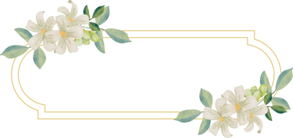 watercolor white murraya orange jasmine flower bouquet wreath badge gold frame png