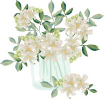 acuarela blanco murraya naranja jazmín flor ramo de flores en vaso florero clipart png