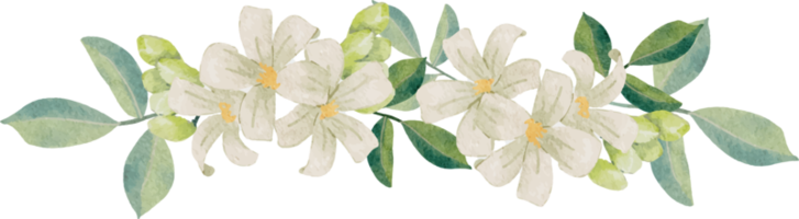 White Flower Png Images – Browse 255,208 Stock Photos,, 53% OFF