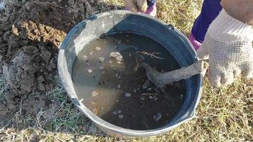 plantation arbustes et des arbres dans le pays dans le printemps video