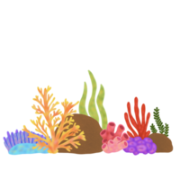 koraal rif samenstelling png