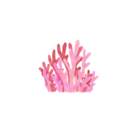 roze koraal rif png