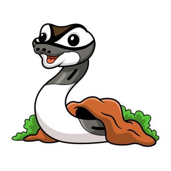 Cute axanthic pied ball python cartoon out from hole vector