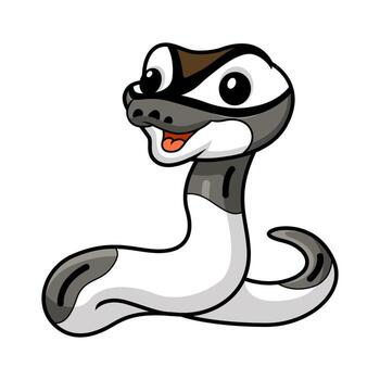Cute axanthic pied ball python cartoon vector
