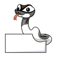 Cute axanthic pied ball python cartoon with blank sign vector