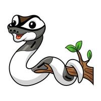 Cute axanthic pied ball python cartoon on tree branch vector