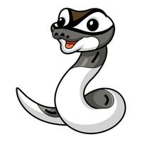 Cute axanthic pied ball python cartoon vector