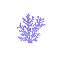 récif de corail coloré png