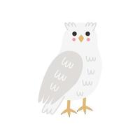 Vector illustration of cartoon snowy owl isolated on white background.