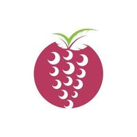 Grape fruits with leaf icon vector illustrtion