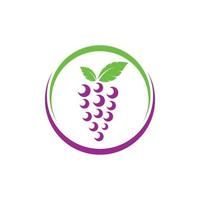 Grape fruits with leaf icon vector illustrtion