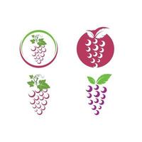 Grape fruits with leaf icon vector illustrtion