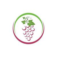 Grape fruits with leaf icon vector illustrtion