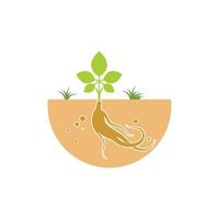 ginseng illustration icon vector design