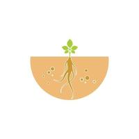 ginseng illustration icon vector design