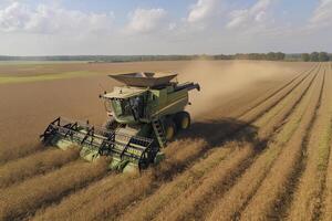 Harvesting of soybean field with combine. photo