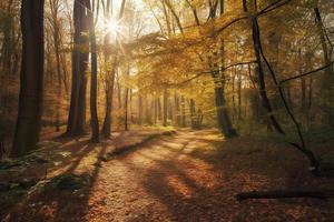 Dom brillante mediante un bosque en un camino cubierto con caído hojas durante otoño foto