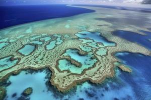 Great Barrier Reef - Aerial View photo