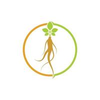 ginseng illustration icon vector design