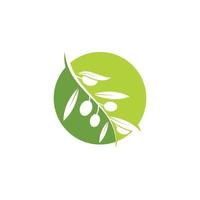 olive logo icon vector illustration