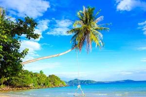 tropical playa antecedentes como verano paisaje con madera columpio palma árbol en azul cielo y blanco nube para viaje y vacaciones en fiesta