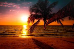 Silhouette of palm trees Beautiful sunset on the tropical sea beach background for travel in holiday relax time, photo