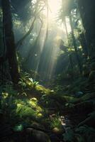 Forest in the morning in a fog in the sun, trees in a haze of light, glowing fog among the trees. . photo