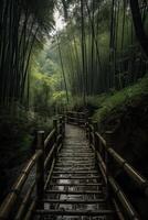 Scenery of Bamboo forest in spring surrounded by silence. Path to bamboo forest. . photo