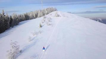 flyg över de ensam turist flicka gående längs de topp av en berg täckt med snö. obekväm ovänlig vinter- väder. video